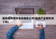 越南区块链项目有哪些公司[越南产业链形成了吗]